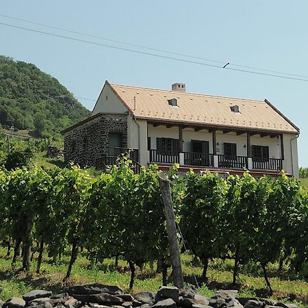Sed Pince Vendeghaz Aparthotel Somlojeno Εξωτερικό φωτογραφία